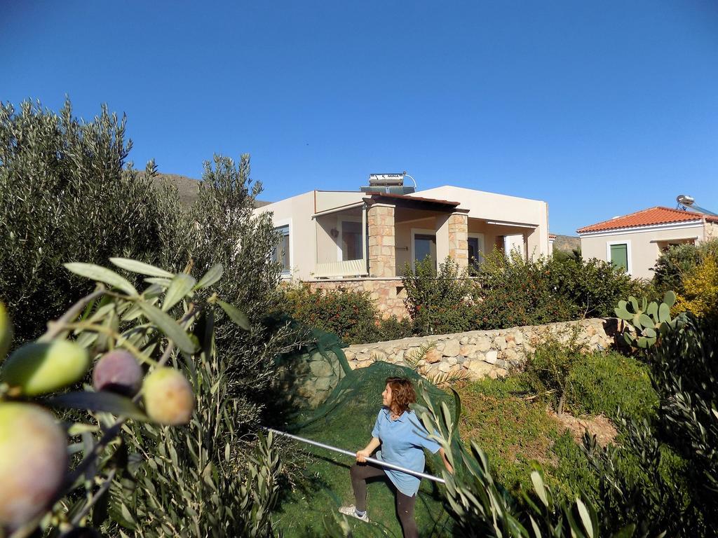 Alkionides Villas Xerokampos  Esterno foto