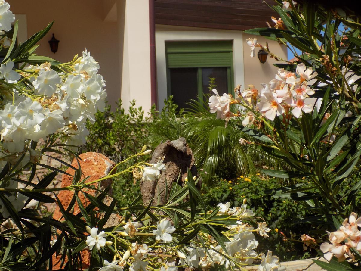 Alkionides Villas Xerokampos  Esterno foto